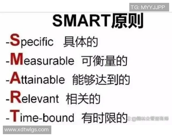 斯特拉马乔尼谈教练共存之道强调目标一致性的重要性